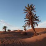 Jour 7 : Dunes de Keriate Jmal – Marrakech – 2h de marche / 9h de route